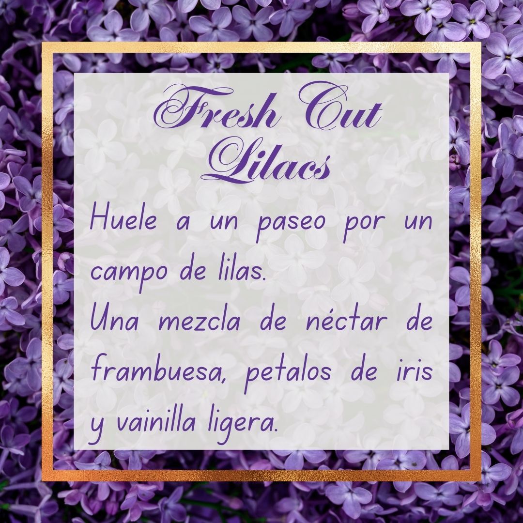 Crema Hidratante Fresh Cut Lilacs Bath & Body Works