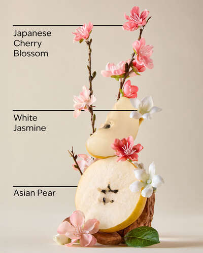 Mist Corporal Japanese Cherry Blossom Bath & Body Works